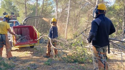 Brigadas forestales en labores preventivas en Luna (Zaragoza) en una imagen de archivo./ Europa Press. Infoar