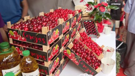 Un puesto de venta en la novena Feria de la Cereza y el Ajo Tierno de Ricla (Zaragoza). / Aragón TV