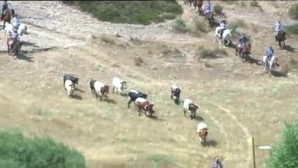 Imagen de archivo del encierro a caballo de Guadalaviar (Teruel). / Aragón TV