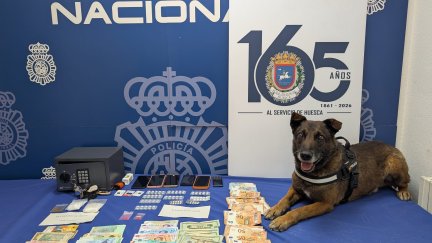 Material intervenido por la Policía Nacional con la ayuda de la Unidad de Guías Caninos de la Policía Local de Huesca. / Policía Nacional
