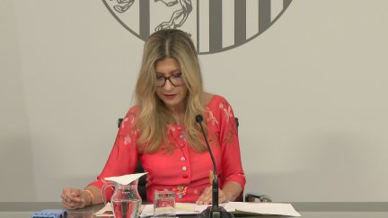 La vicepresidenta aragonesa, Mar Vaquero, este jueves en una rueda de prensa. / Aragón TV