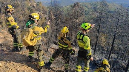 Efectivos del Operativo de Prevención y Extinción de Incendios de Aragón (INFOAR). / Europa Press