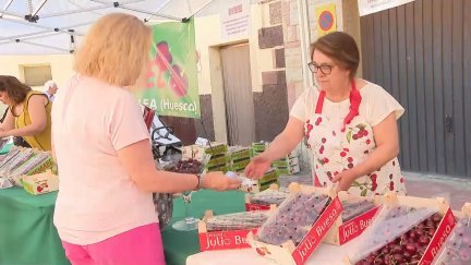 Feria de la Cereza de Bolea. / Aragón TV