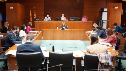 La consejera de Ciudadanía, María Victoria Broto , este miércoles en la Comisión de Hacienda. (CORTES DE ARAGÓN)