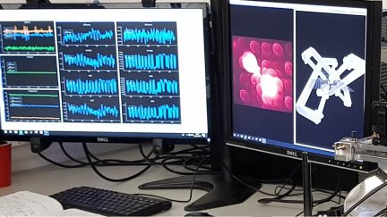 Señal óptica de un nano-sistema tridimensional creado mediante técnicas de impresión 3D. / Amalio Fernández-Pacheco.