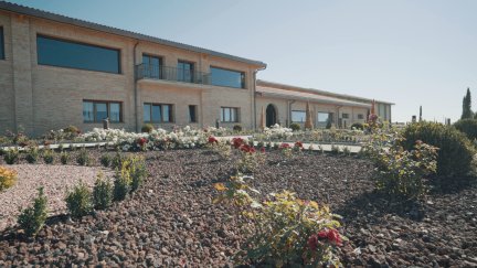 Fachada de Bodegas Borsao.