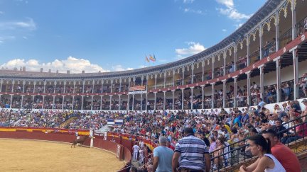 La plaza de toros tiene actividad todos los días, con vaquillas por la mañana y festejos taurinos por las tardes, así como la tarde de muñecos de capea. / Ayuntamiento de Calatayud