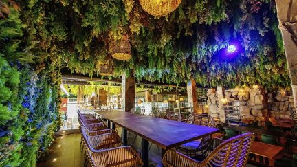 En 'Selvatik' (Zaragoza), la planta baja es un parque de juegos para niños y en la planta de arriba tiene un restaurante. / Mariano Hotto