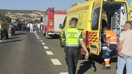 El siniestro se ha producido en el punto kilométrico 46,535 de la carretera nacional N-230. / Guardia Civil