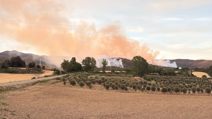 El fuego se ha declarado sobre las 18:20 en La Fueva. / Javier Cao