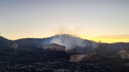 Zona afectada por el incendio de Leciñena (Zaragoza) este viernes. / Infoar