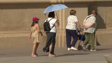 La provincia de Zaragoza, sumando sus tres zonas de Meteosalud, es la que acumula más alertas de máximo riesgo. / Aragón TV