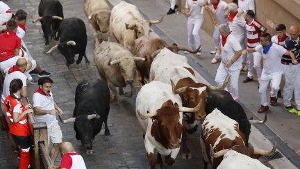 Los toros de la ganadería Fuente Ymbro recorren la Cuesta de Santo Domingo en el primer encierro de los Sanfermines 2026, este martes en Pamplona. / EFE - Villar López