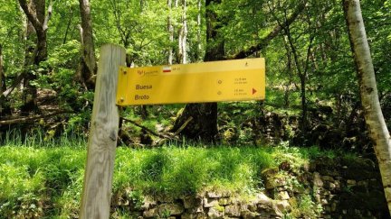Buscar rutas donde predomine la sombra es uno de los consejos. / DGA