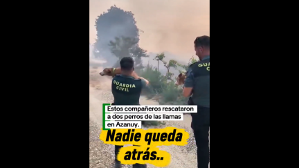 Vídeo del rescate difundido por la Guardia Civil. / G. C.