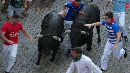 Los toros de la ganadería gaditana de Cebada Gago a su paso por el tramo del callejón en el segundo encierro de los Sanfermines 2026, este miércoles en Pamplona. / EFE - Ainhoa Tejerina