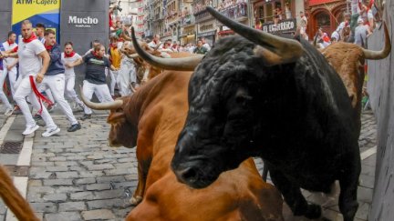 Toros de la ganadería de Álvaro Núñez en el tramo de Mercaderes, durante el cuarto encierro de los Sanfermines 2026, este viernes en Pamplona.