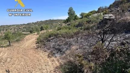 Lugar donde se inició el fuego en Valdealgorfa.