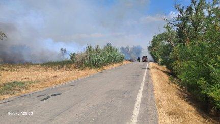 El incendio entre Alcolea de Cinca y Santa Lecina ya está estabilizado.