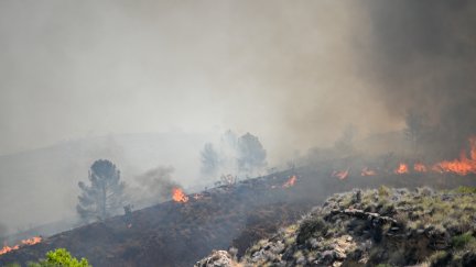 El incendio de Los Gallardos (Almería) ya ha afectado a 4.000 hectáreas.