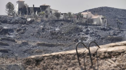 asa calcinada en el incendio de Los Gallardos.