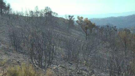 El incendio de Leciñena, en la Sierra de Alcubierre, ha dejado más de 3.000 hectáreas calcinadas en tres días.