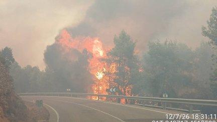 El fuego ha afectado un área de unas 300 hectáreas, según la primera estimación provisional.