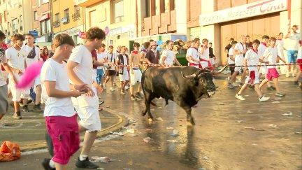 Los toros ensogados han protagonizado la última madrugada de La Vaquilla.