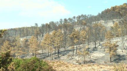 El incendio de Peñarroya de Tastavins se ha dado por estabilizado este martes.