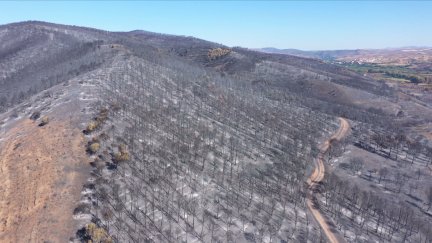 Los incendios más graves que han afectado a Aragón en los últimos años.