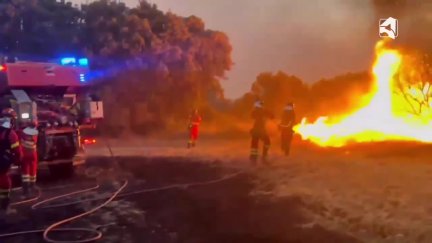 La UME trabajó durante la noche del viernes para seguir protegiendo el entorno de Luesia y evitar nuevos focos. | UME