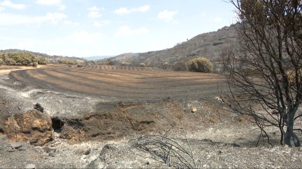 El incendio de las Cinco Villas ha arrasado más de 15.400 hectáreas de terreno.