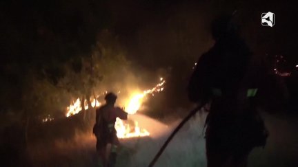 Los efectivos trabajan para intentar controlar el incendio en Guadalajara.