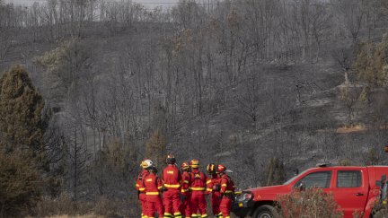 Incendio forestal declarado este martes en Selas (Guadalajara).