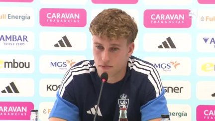 Declaraciones de Westerveld