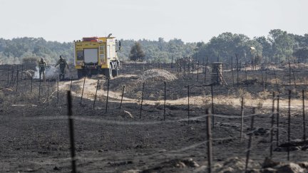 Labores de de extinción en Brieva, Segovia, Castilla y León. Nacho Valverde / Europa Press21/7/2026