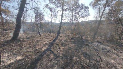 Zona quemada en el incendio de La Cerollera, en la pronvicia de Teruel.
