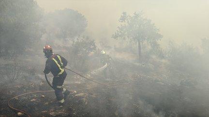 Las labores han sido positivas en las inmediaciones del río Cofio, la zona más crítica de la sierra madrileña.