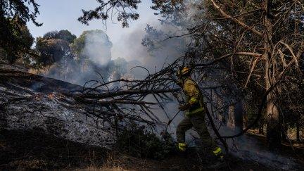 Un bombero trabaja en las tareas de extinción del incendio forestal en la sierra oeste de Madrid, en los alrededores del Pantano de San Juan.