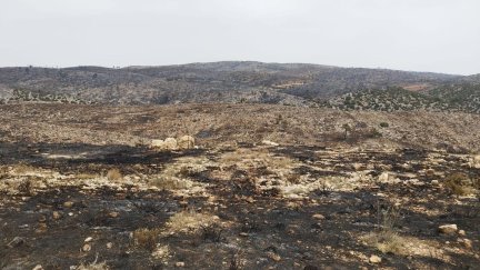 El incendio de Ejulve (Teruel) ha calcinado unas 1.400 hectáreas.REMITIDA / HANDOUT por GOBIERNO DE ARAGÓNFotografía remitida a medios de comunicación exclusivamente para ilustrar la noticia a la que hace referencia la imagen, y citando la procedencia de la imagen en la firma22/7/2026