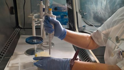 El Hospital Clínico Universitario Lozano Blesa introduce una innovadora prueba que facilita el seguimiento de los pacientes tras un cáncer de vejiga