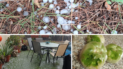 Efectos de la tormenta acompañada de pedrisco.