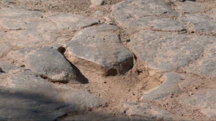 Detalle de las huellas de un pie del dinosaurio saurópodo descubierto.