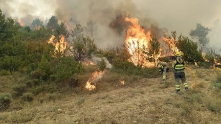 Se trata de un incendio de carácter forestal con una masa muy extensa y continua de pinar.