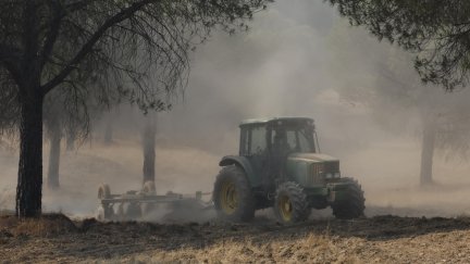 Maquinaria pesada realiza cortafuegos por el incendio de Niebla (Huelva).
