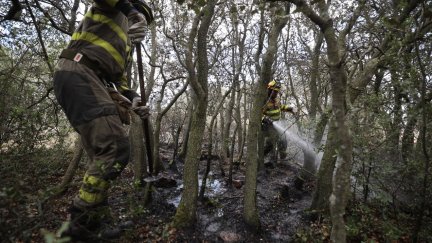Bomberos forestales.
