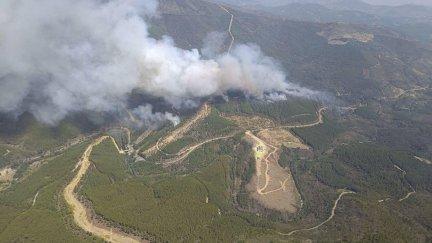 Cerca de una veintena de medios aéreos y más de 250  efectivos terrestres trabajan en la extinción de un incendio declarado en el término municipal de Pinofranqueado (Cáceres).