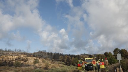 El incendio se originó este jueves como consecuencia de un rayo en el municipio castellonense de Segorbe.