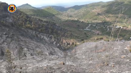 La intensa labor durante la noche ha permitido estabilizar el fuego, una vez contenido su avance.