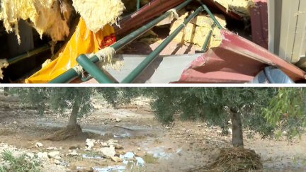 Estado en el que ha quedado el tejado dañado en Castelserás (Teruel) y los campos de almendros en Valdealgorfa (Teruel) tras la última tormenta.